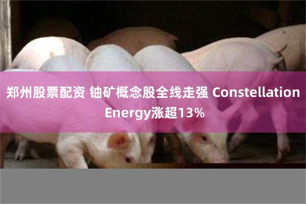 郑州股票配资 铀矿概念股全线走强 Constellation Energy涨超13%