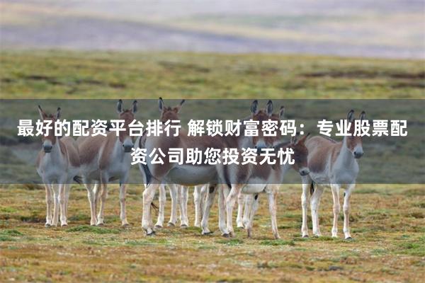最好的配资平台排行 解锁财富密码：专业股票配资公司助您投资无忧
