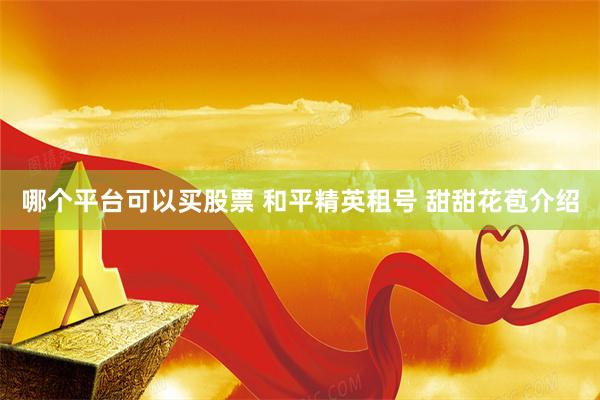 哪个平台可以买股票 和平精英租号 甜甜花苞介绍