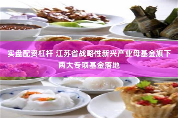 实盘配资杠杆 江苏省战略性新兴产业母基金旗下两大专项基金落地