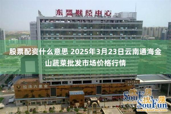 股票配资什么意思 2025年3月23日云南通海金山蔬菜批发市场价格行情