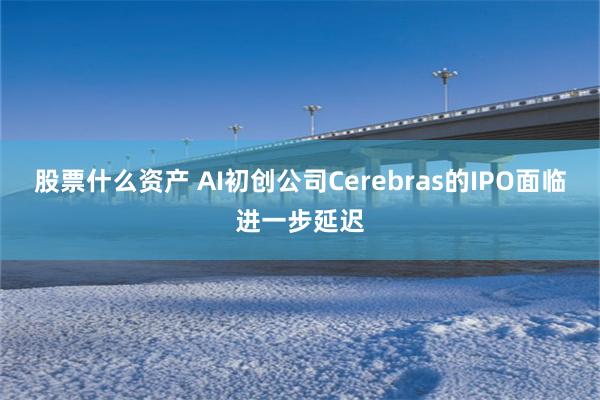 股票什么资产 AI初创公司Cerebras的IPO面临进一步延迟
