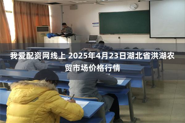 我爱配资网线上 2025年4月23日湖北省洪湖农贸市场价格行情