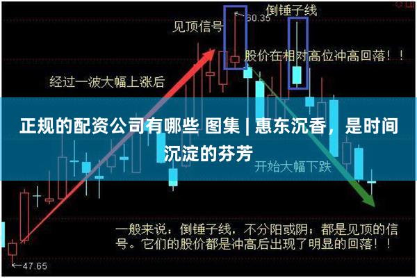 正规的配资公司有哪些 图集 | 惠东沉香，是时间沉淀的芬芳