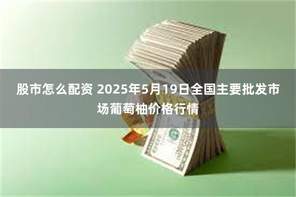 股市怎么配资 2025年5月19日全国主要批发市场葡萄柚价格行情