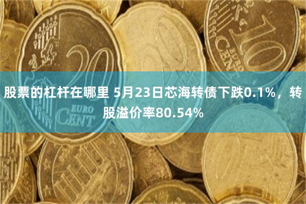 股票的杠杆在哪里 5月23日芯海转债下跌0.1%，转股溢价率80.54%