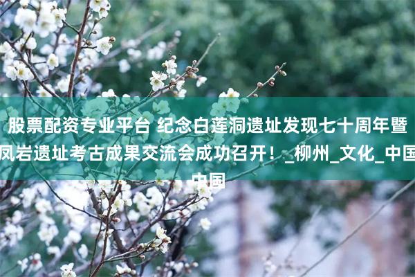 股票配资专业平台 纪念白莲洞遗址发现七十周年暨凤岩遗址考古成果交流会成功召开！_柳州_文化_中国