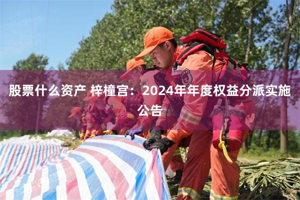 股票什么资产 梓橦宫：2024年年度权益分派实施公告