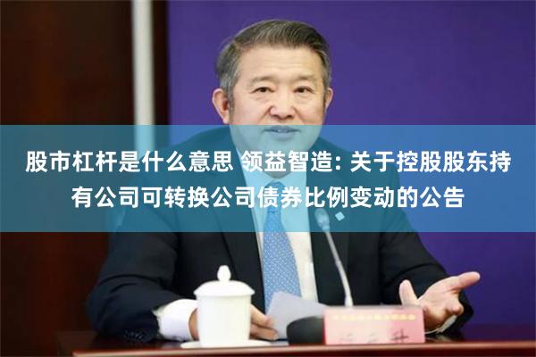 股市杠杆是什么意思 领益智造: 关于控股股东持有公司可转换公司债券比例变动的公告