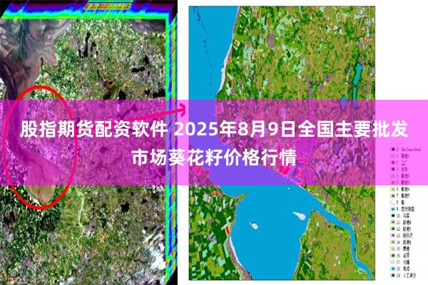 股指期货配资软件 2025年8月9日全国主要批发市场葵花籽价格行情